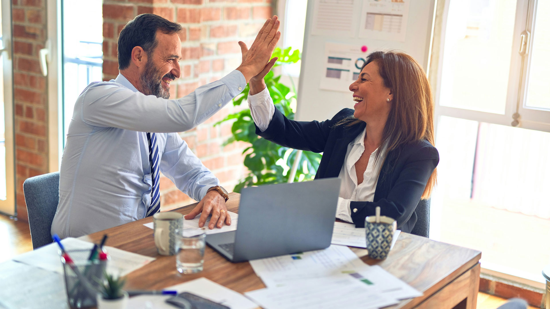 Franchise Partnerships